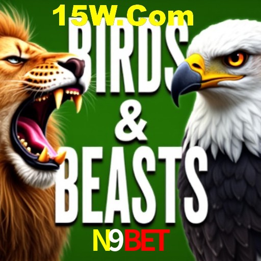 Apostas Esportivas na N9Bet: Um Guia Completo